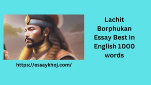 Lachit Borphukan Essay